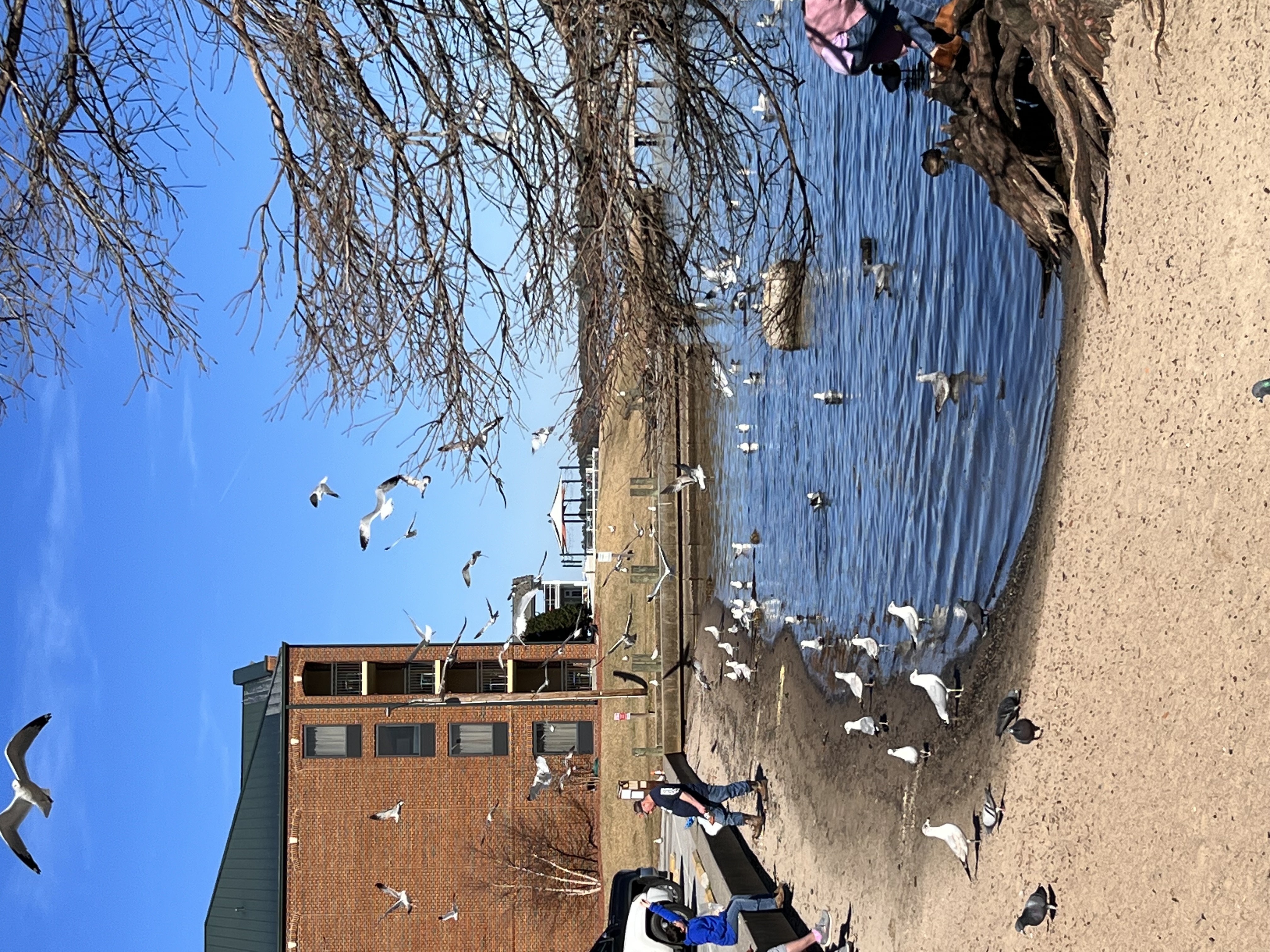 ./2023/01 - New Bern/IMG_6022.JPG